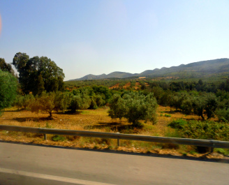 photo 1454439