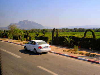 photo 1446721