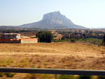 photo 1454158