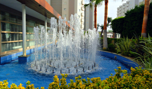 DSC07744