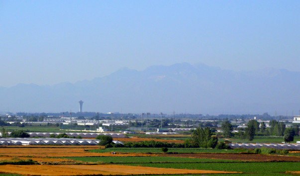 DSC07789