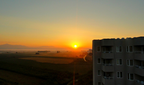 DSC08141