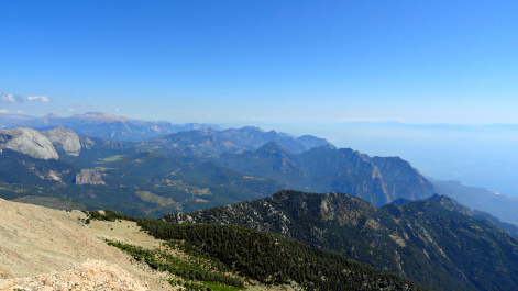 photo 1516882