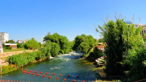 photo 1494969