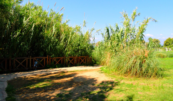 DSC07850
