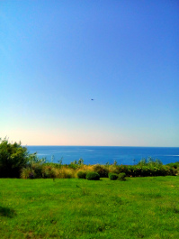 photo 1522285