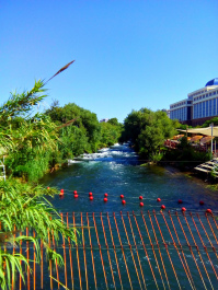 photo 1522286