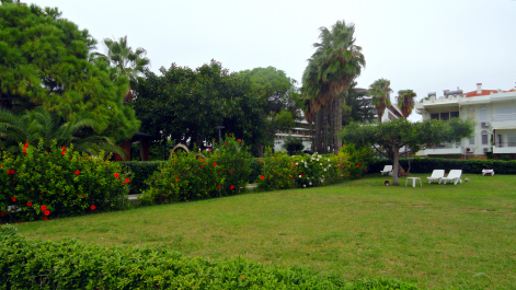 photo 1579597