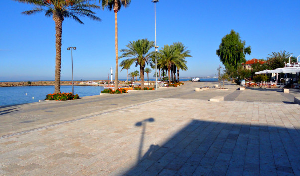 DSC09510