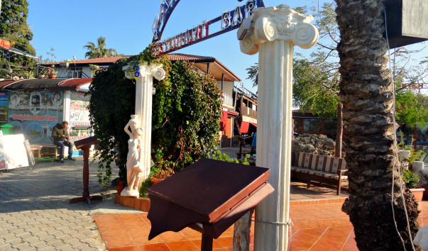 DSC09556