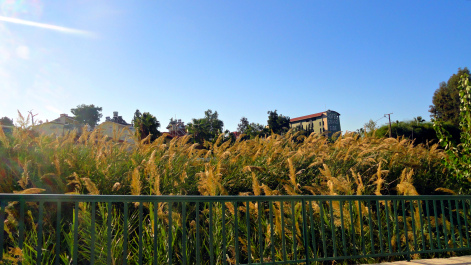 photo 1599704