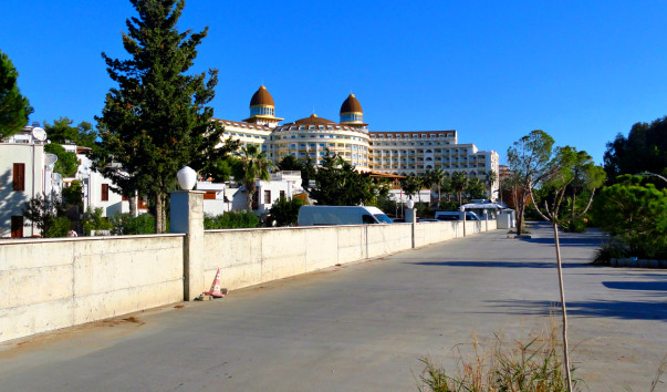 DSC09790