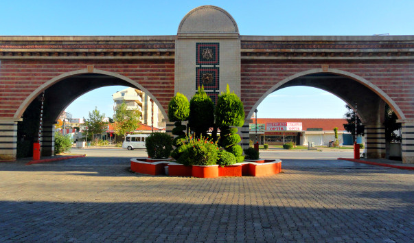 DSC09867