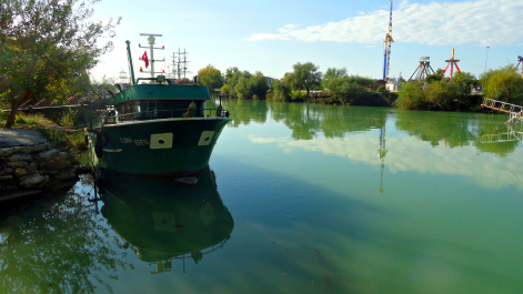 photo 1578778