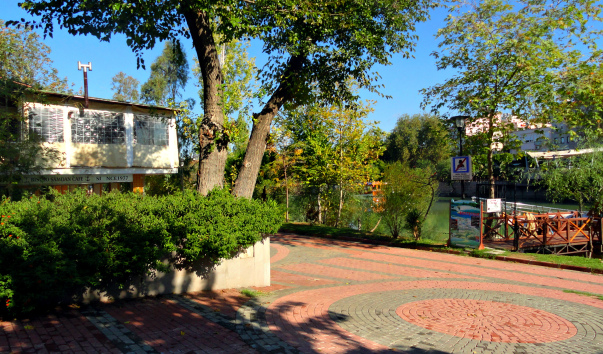 DSC09492