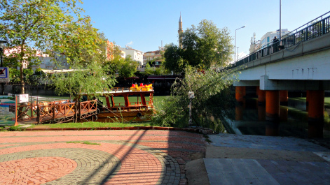 photo 1582157