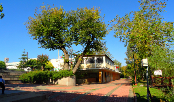 DSC09500