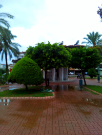 photo 1628601