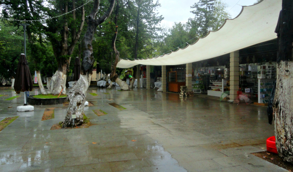 DSC09333