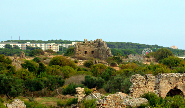 DSC09196