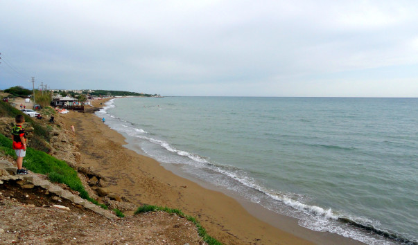 DSC09233