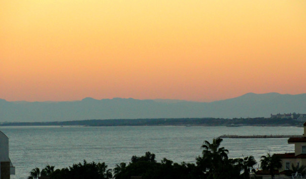 DSC09719