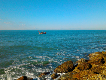 photo 1588711
