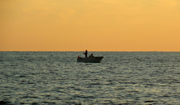 DSC09939