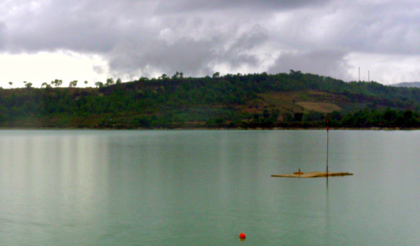 DSC09405