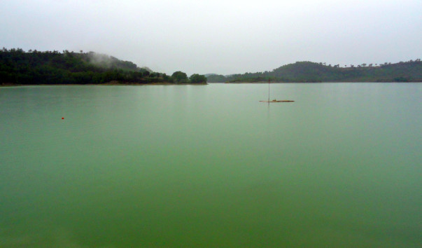 DSC09399