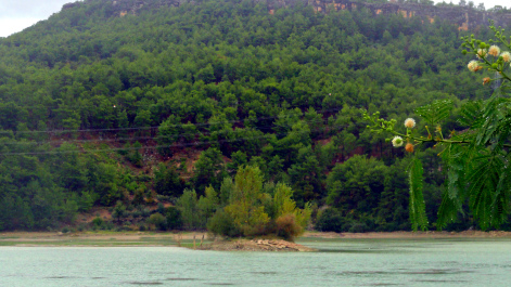 photo 1582473