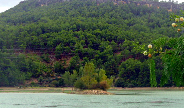 DSC09419