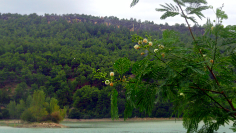 photo 1583727