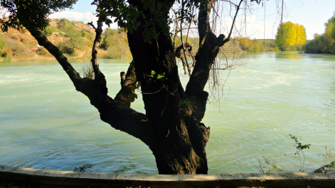 photo 1615833