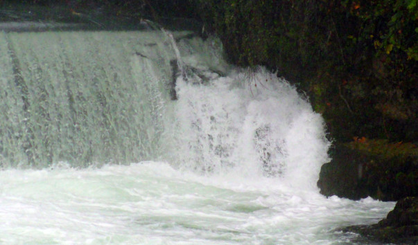 DSC09328