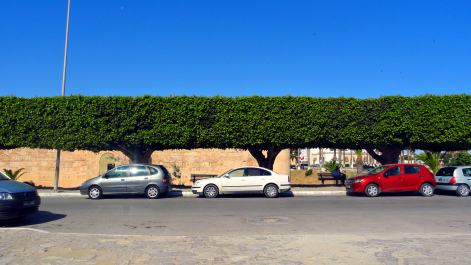 photo 1645884