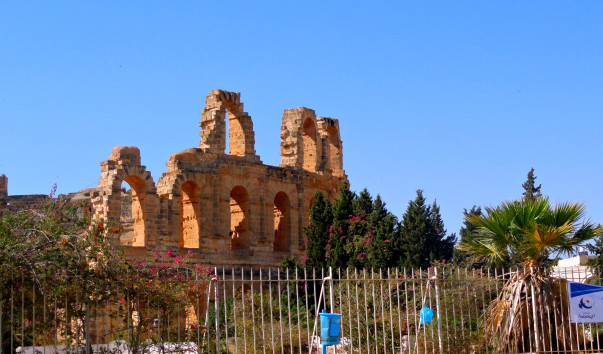 DSC00503
