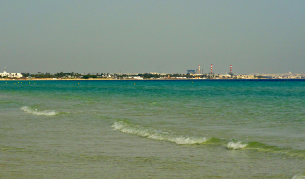 DSC09909