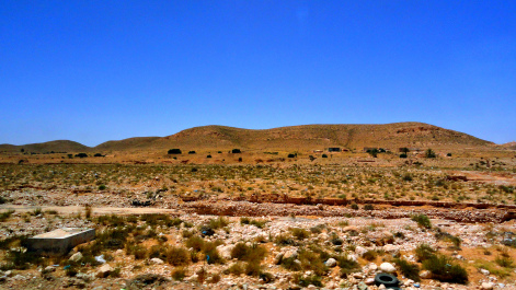 photo 1649458