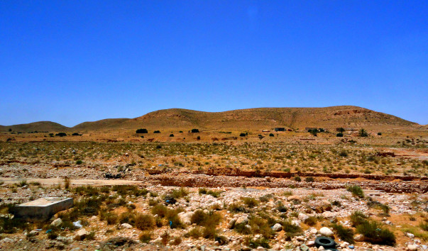 DSC00522