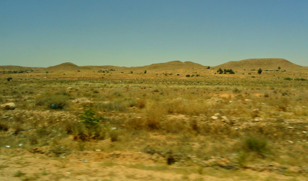 DSC00523