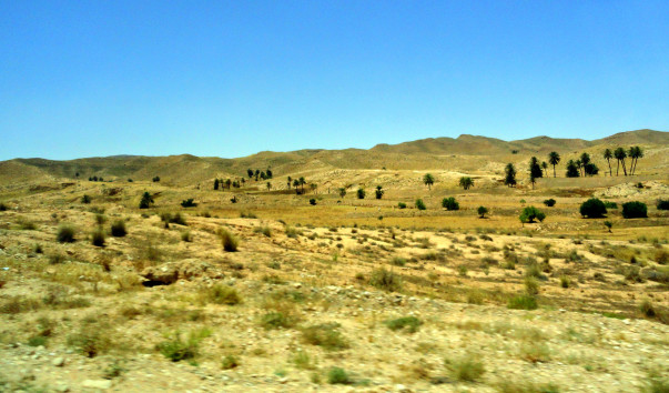 DSC00525