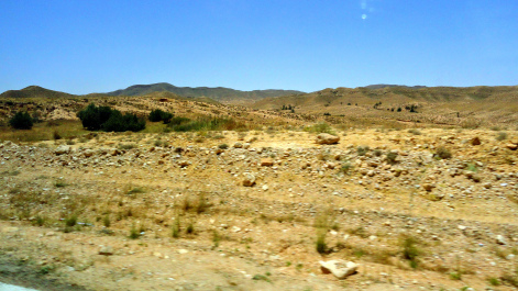 photo 1650686