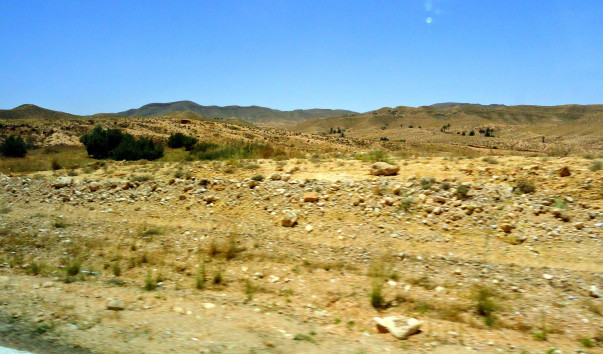 DSC00526