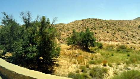 photo 1655961