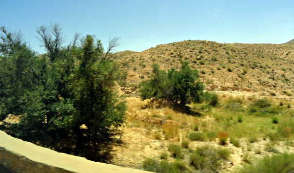 DSC00545