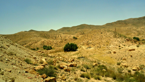 photo 1656688