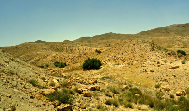 DSC00546