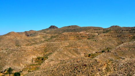 photo 1659196