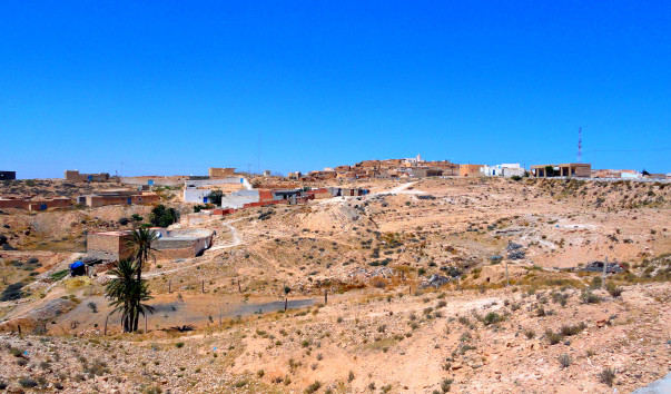 DSC00568